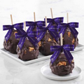 Dark Chocolate Cashew Petite 12 Pack Favor Apples